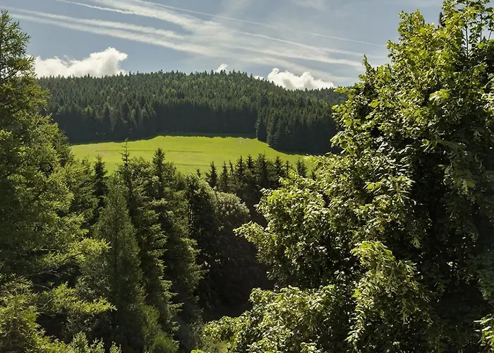 La Louviere * Villard-de-Lans